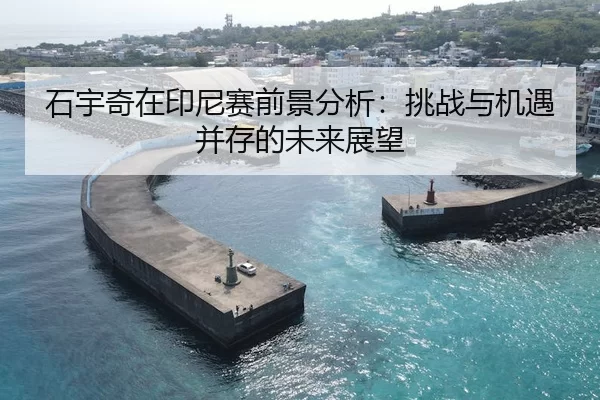 石宇奇在印尼赛前景分析：挑战与机遇并存的未来展望